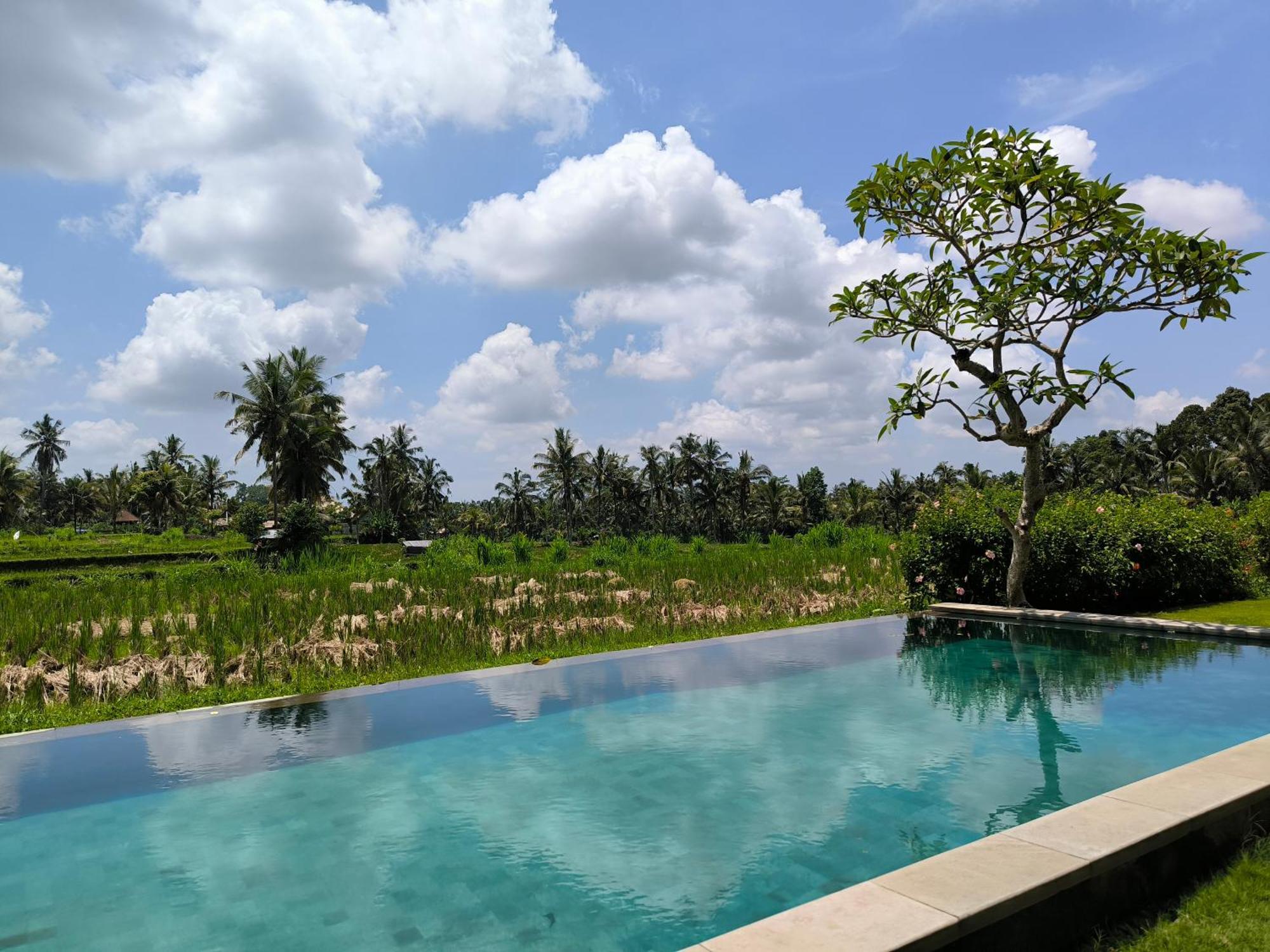Benisari Batik Garden Cottage 우붓 객실 사진